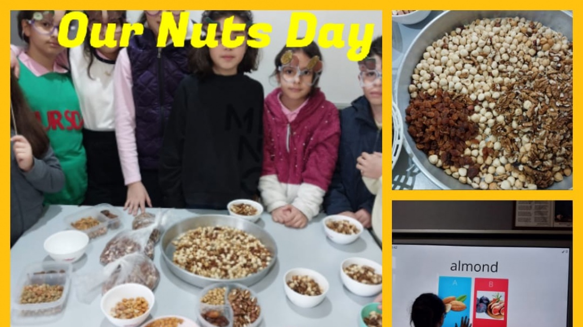 Our Nuts Day