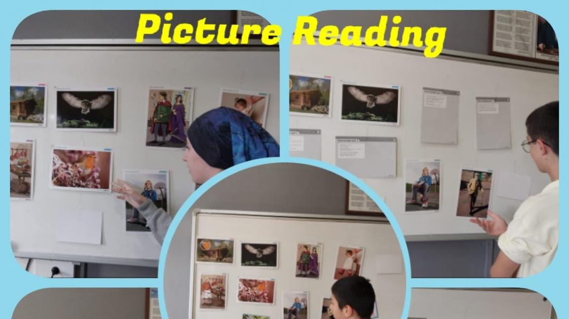 Picture Reading